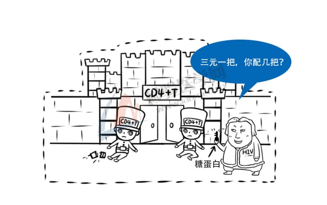 艾滋病毒入侵全过程传染途径,艾滋病病毒全部侵入人体的过程