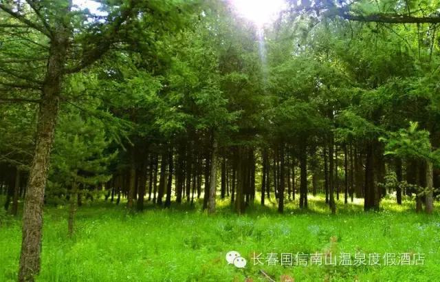 国信南山温泉好玩吗,国信南山温泉旅游景区