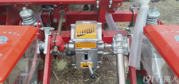 玉米花生种植高产技术,玉米高产高效种植技术