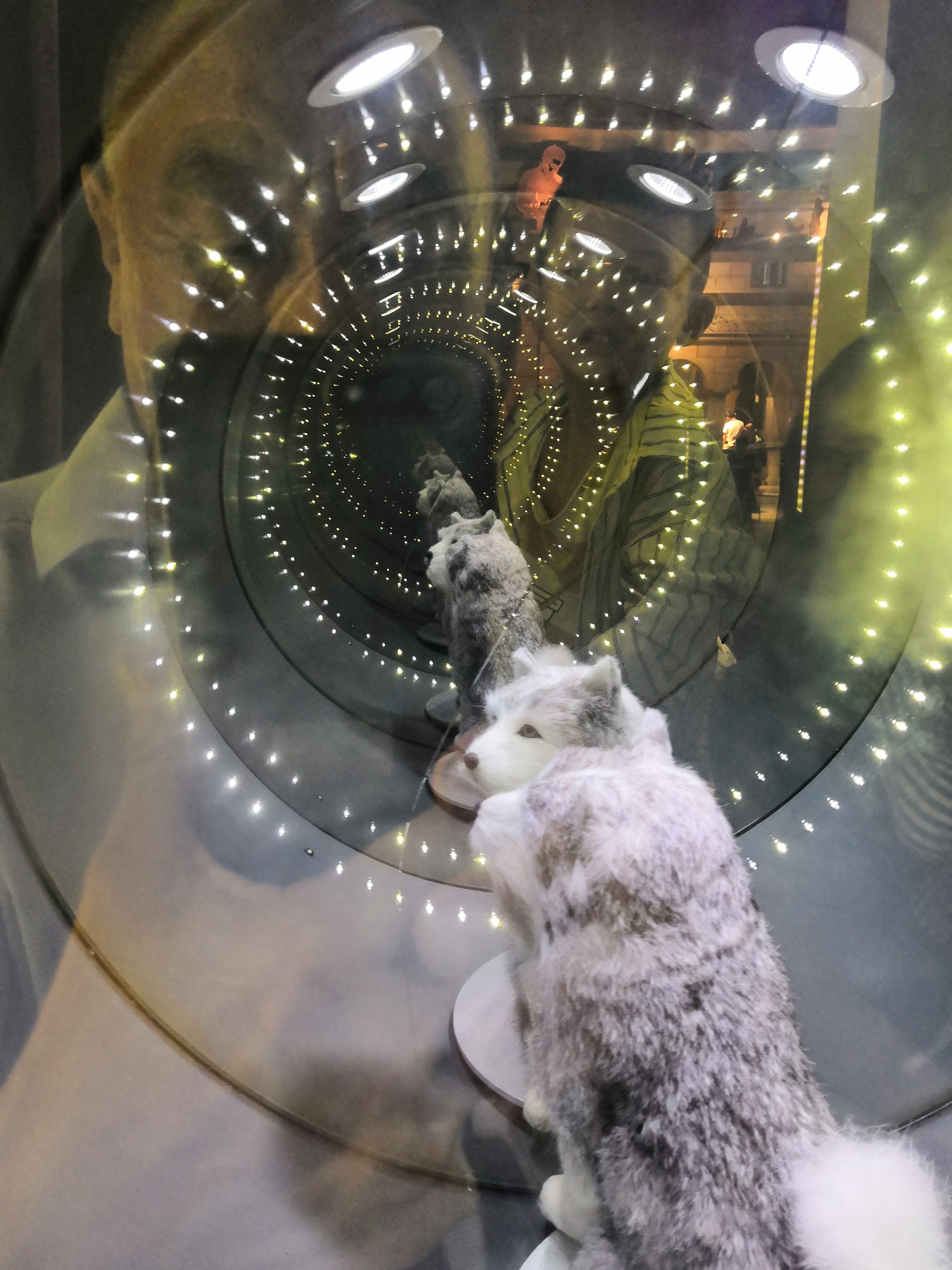 广东科学中心巨幕影院,广东科学中心城际站