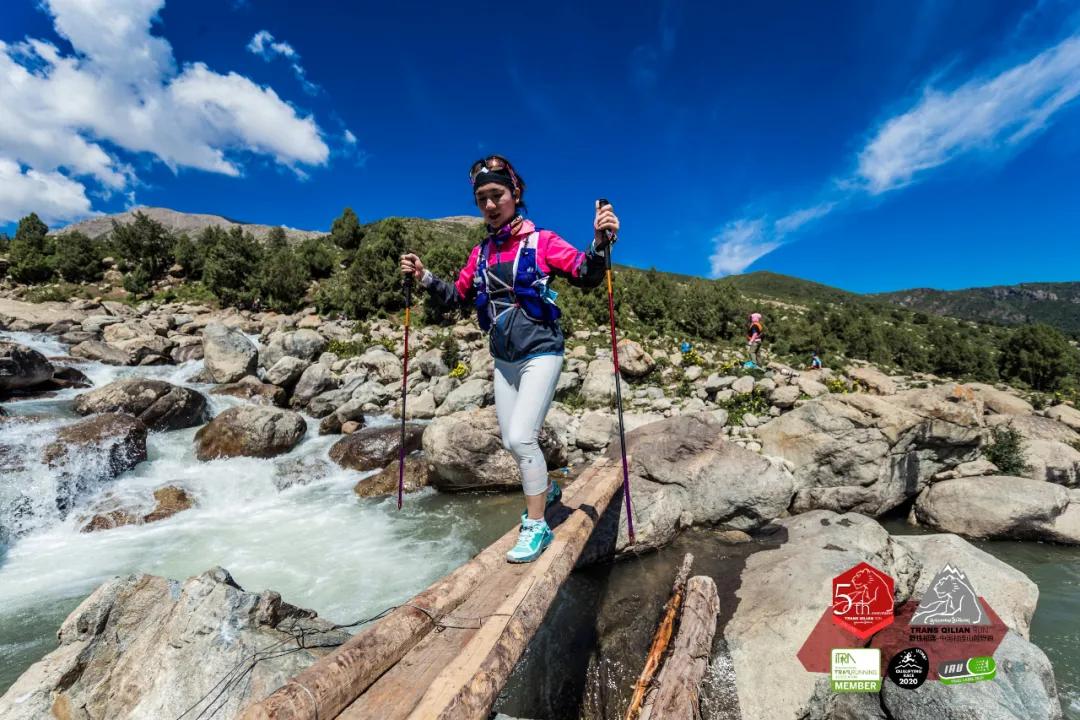 西北望射天狼深度解析,西北望射天狼霸气吗