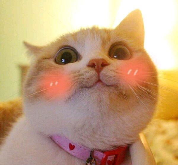 30岁适合用哪款精华油,想滋润抗老用什么精华油