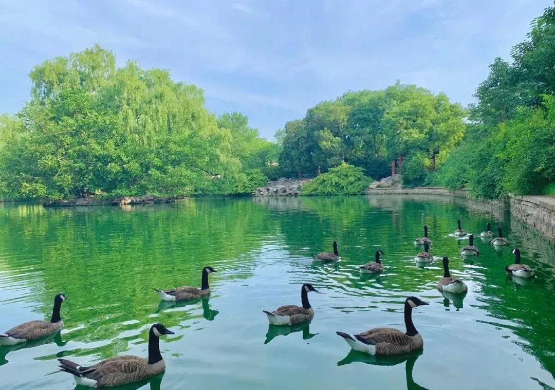 2017年北京市优美河湖,我市4条河湖入选省美丽河湖