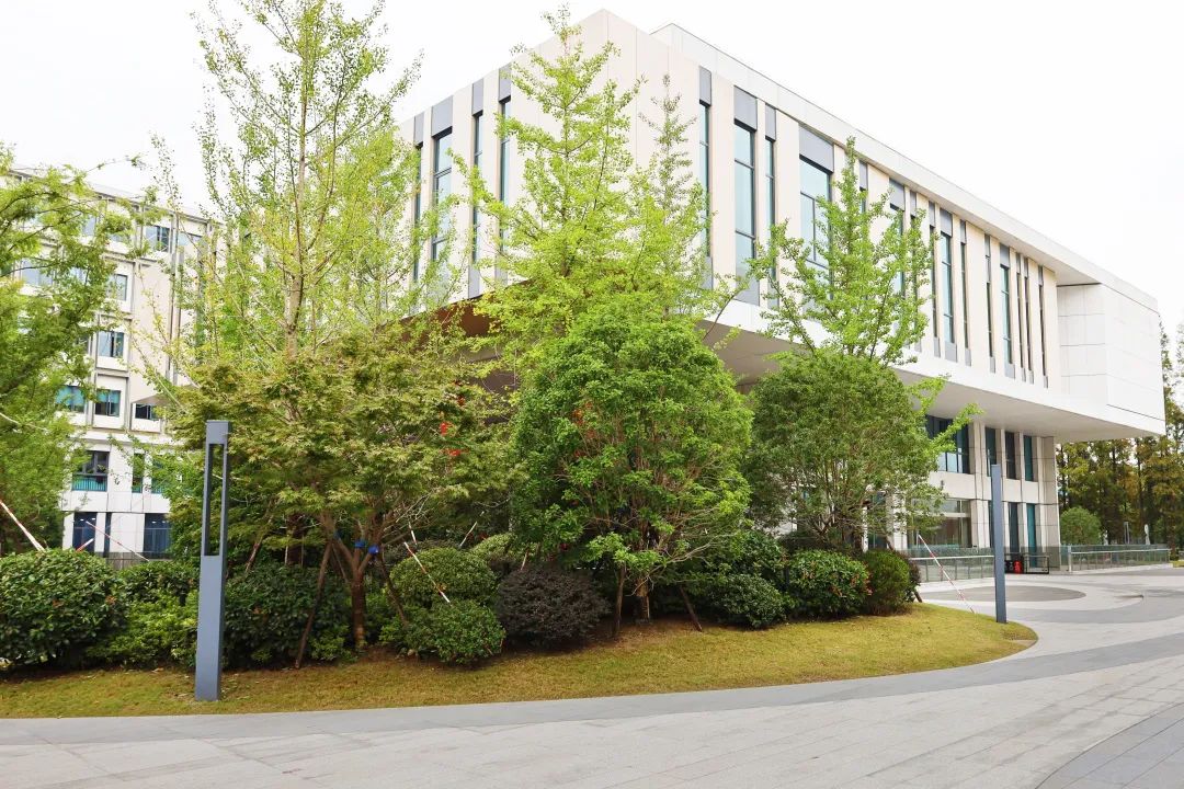 沪上“花园式”工地办公是怎样的体验？来看看这个白玉兰奖工程吧