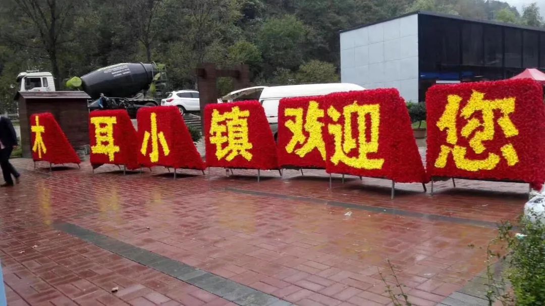 柞水木耳炒腊肉,卖疯了的零食