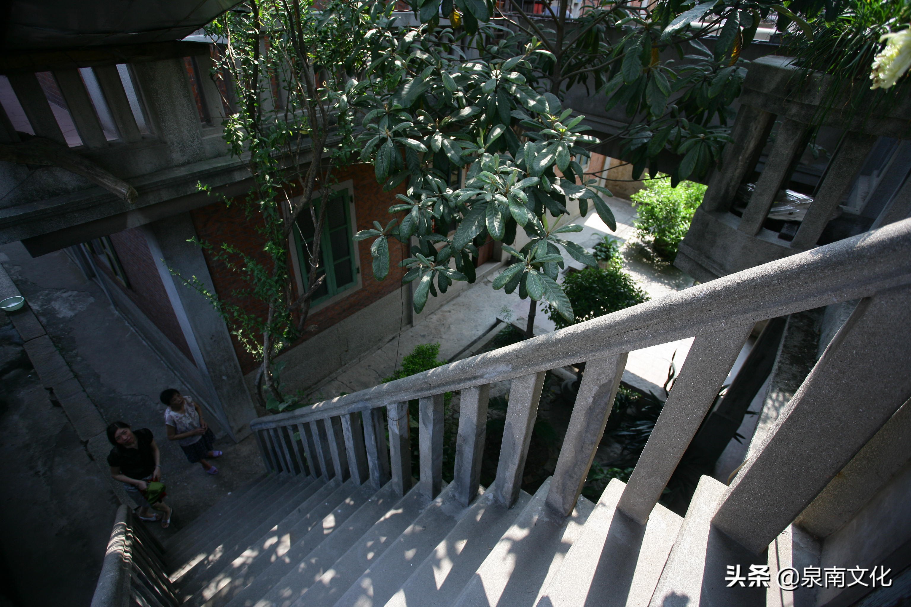 泉州中山路两侧巷道踏勘日记(三):奎霞巷、会通巷、通政巷等