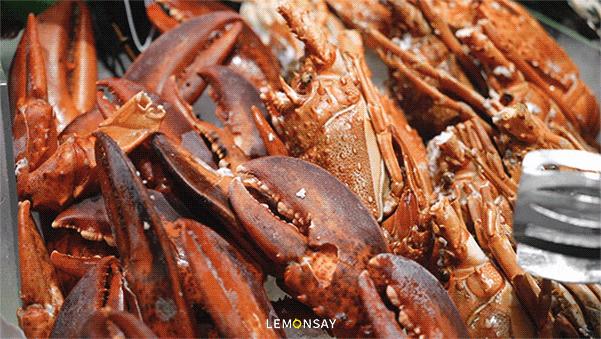 朗廷酒店自助餐，龙虾无限续！任意吃