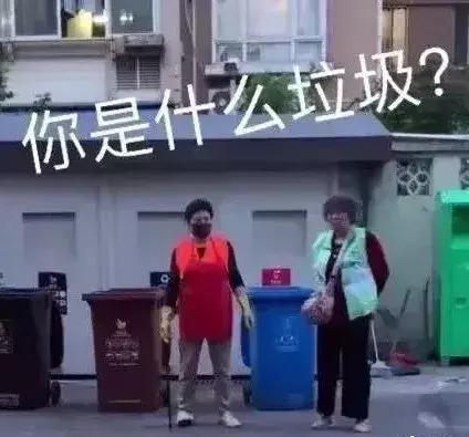 为什么美国不回收纸皮,美国垃圾回收