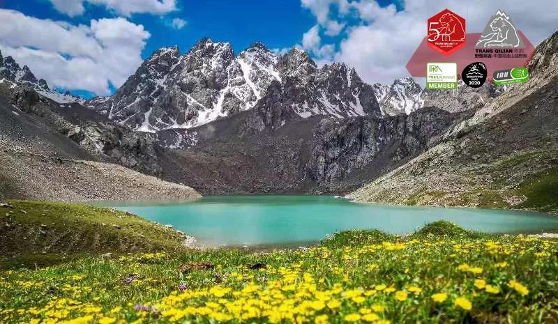 西北望射天狼深度解析,西北望射天狼霸气吗