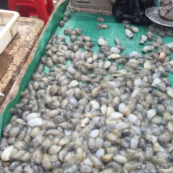 家乡印象海鲜,家乡味道舌尖上的美食