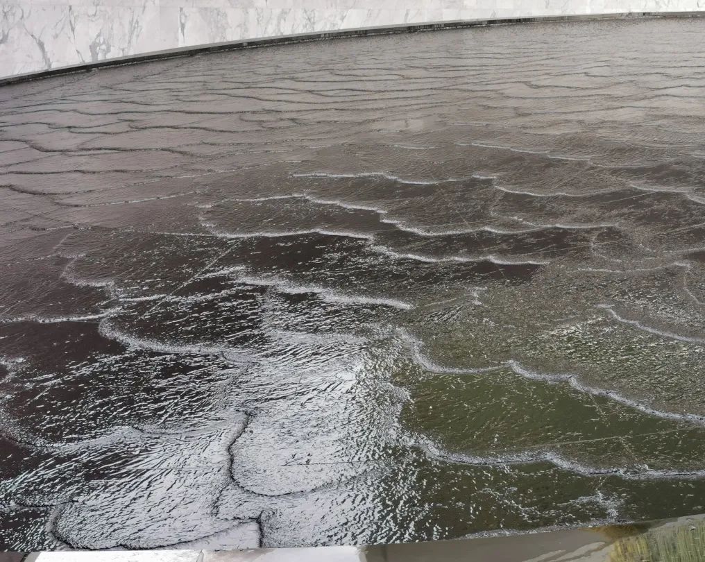 易境研学·重庆站|第二期