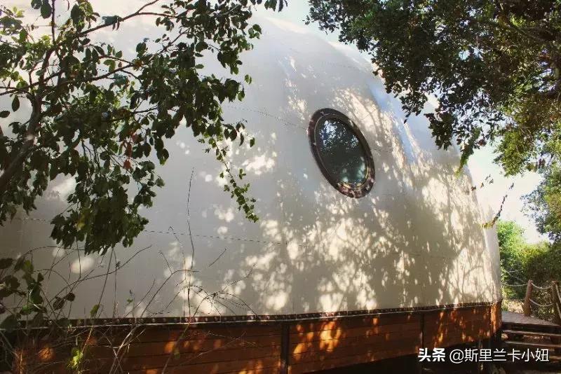 鏂噷鍏板崱缃楄幈澶忔湹,缃楄幈澶忔湹闇嶉】鑻卞紡鑼跺洯