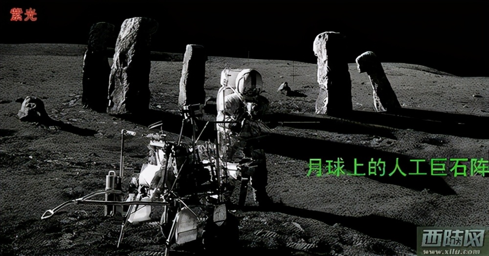 神秘海底生物未解之谜大记录,迷你世界神秘生物未解之谜