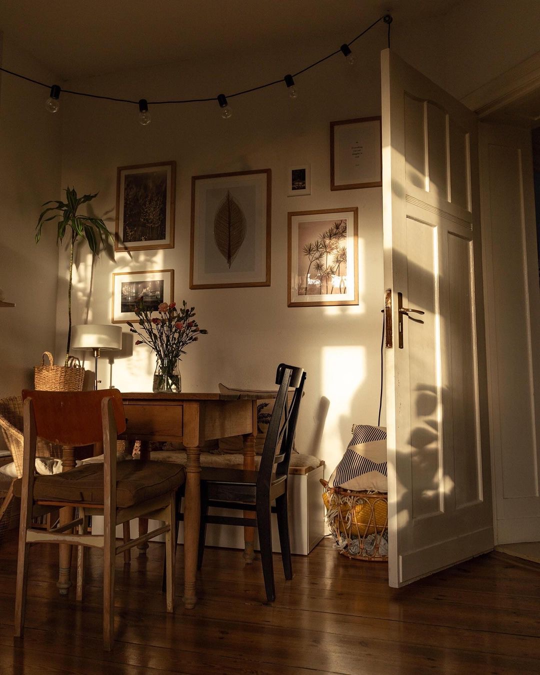 住森林里的体验,住在3200亩森林里是一种什么体验