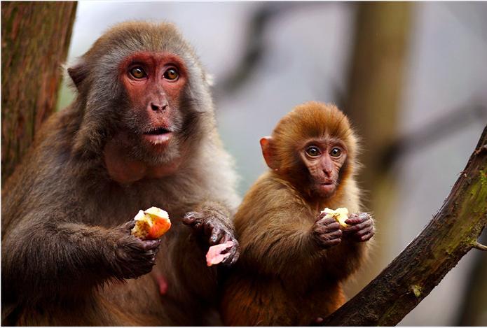 花果山旅游攻略景点介绍,花果山十大景点介绍