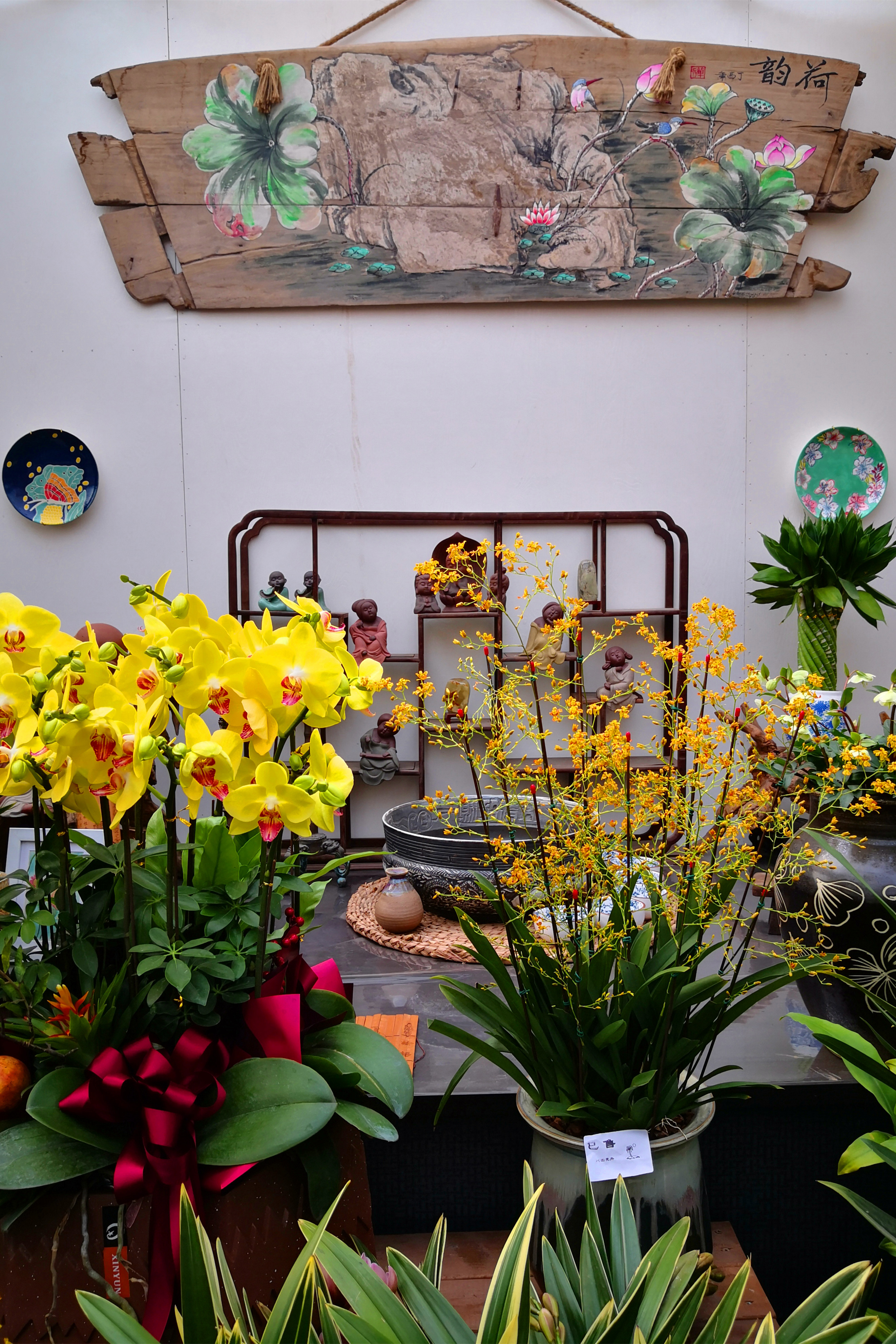 东营最大的花卉批发市场在哪里,东营地区哪里有花卉市场