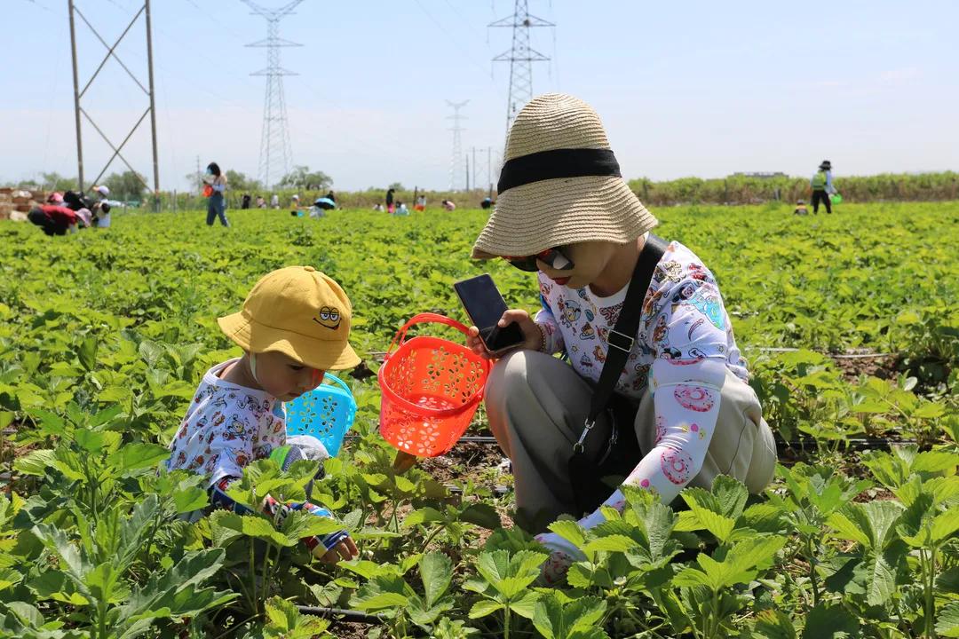 小信说民生▎看三坪农场如何“点亮”幸福生活，“提速”乡村振兴！