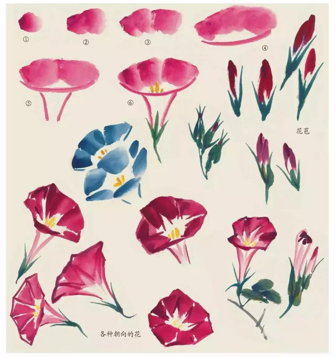 国画团扇花卉画法,国画中常见花卉的画法