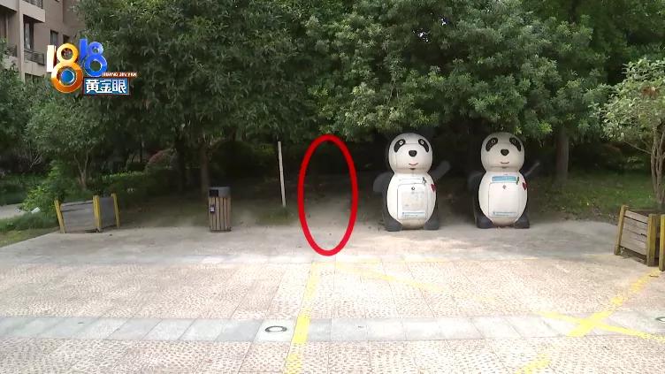 孩子喜欢打篮球父亲陪着打篮球,孩子喜欢打篮球的心理