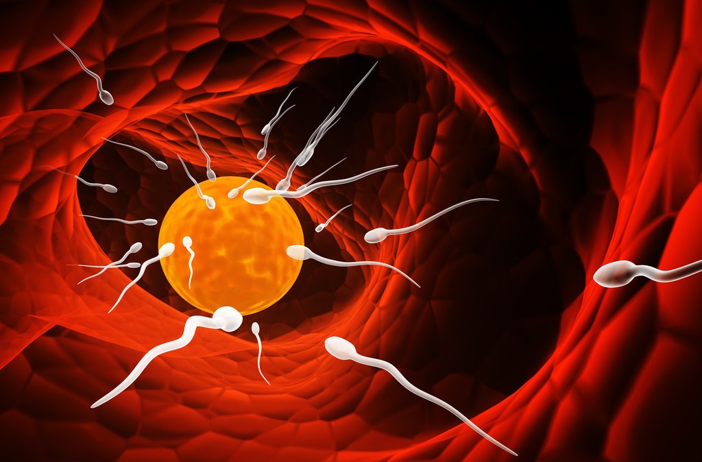 受孕了吃什么可以阻止着床,受孕补救措施