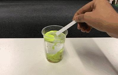 月销10000+，17个堪比艺术大片的彩虹实验，在家就能做