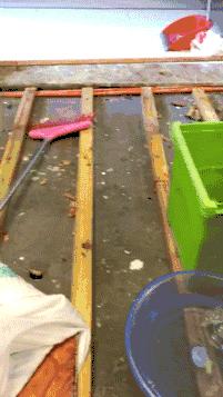 用过都说好的智能家居,用过智能家居的感觉如何啊