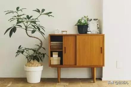 除了muji无印良品398活动还有什么,除了muji还有哪些日式家具