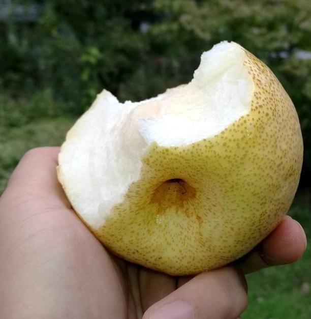 若家境允许,建议吃这5大水果,不吃垃圾食品,大人孩子都喜欢