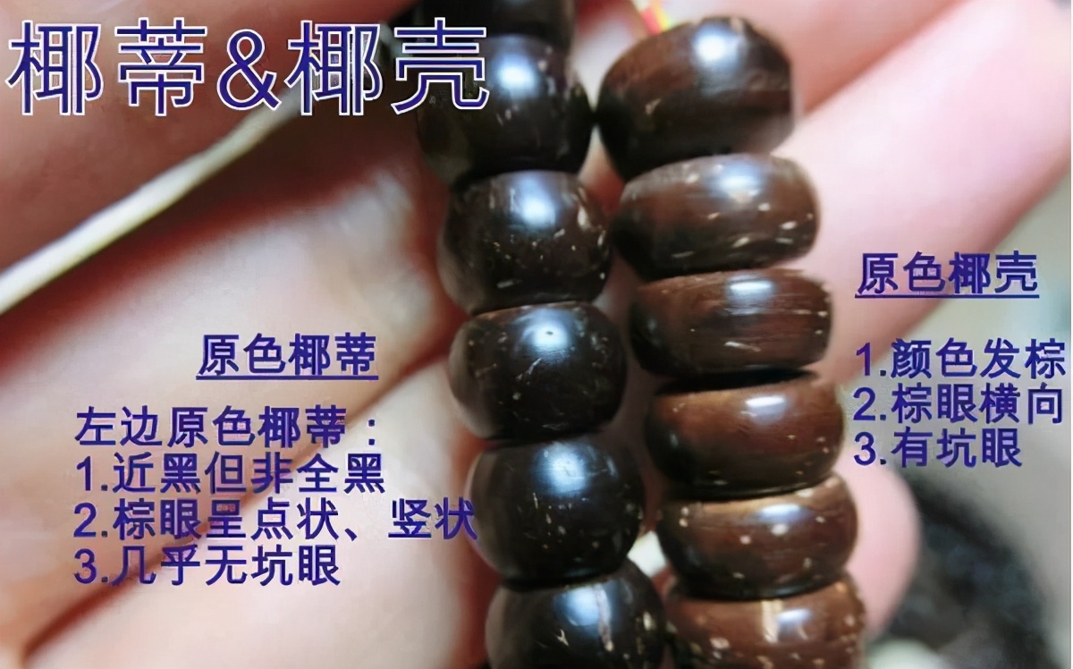 坚韧不屈的植物有哪些,坚韧不屈的植物特点