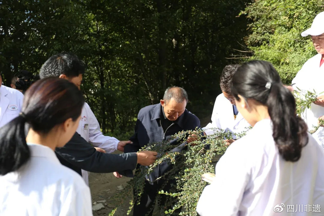 南派藏医药的默默坚守者——格桑尼玛