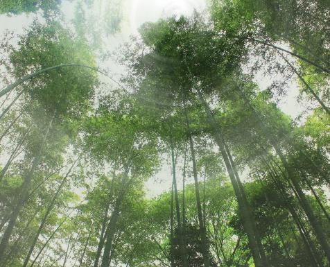 ps制作炫目光效教程,怎样在ps里制作光效