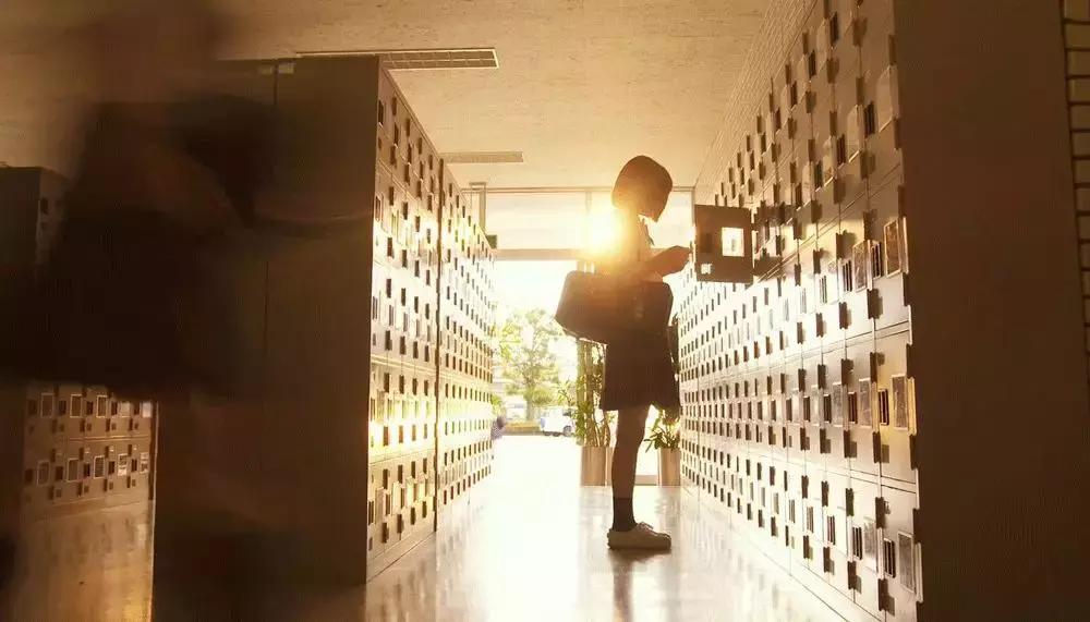 少女被校园霸凌走上复仇之路,女孩儿被校园霸凌真实故事