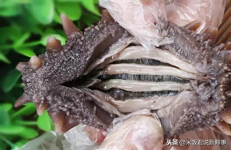 65岁妈妈买海参,老人用白菜价买海参