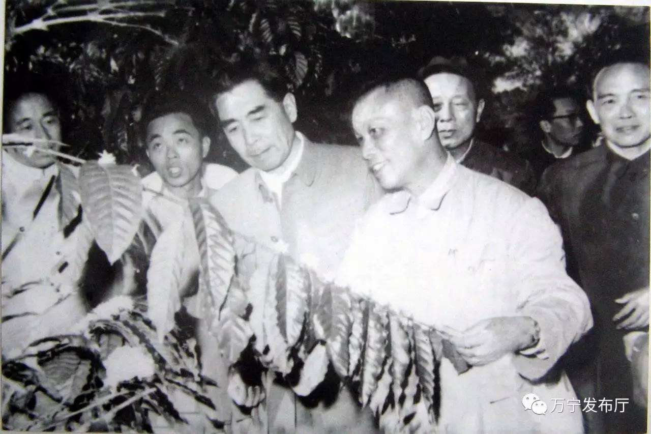 星巴克最好喝的臻选咖啡,星巴克4款臻选咖啡区别