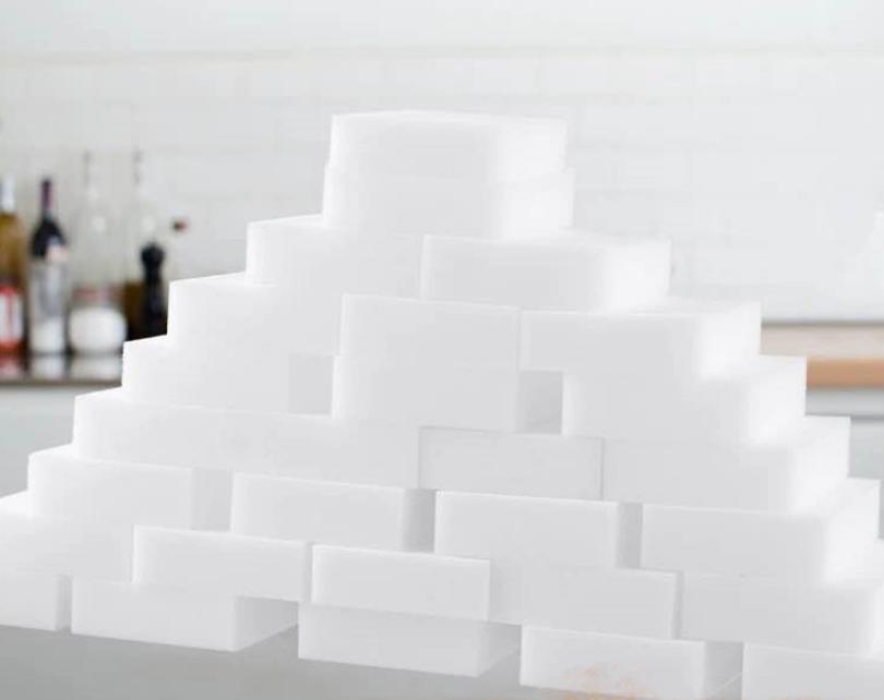 捕鸟蛛饲养条件,捕鸟蛛饲养事项