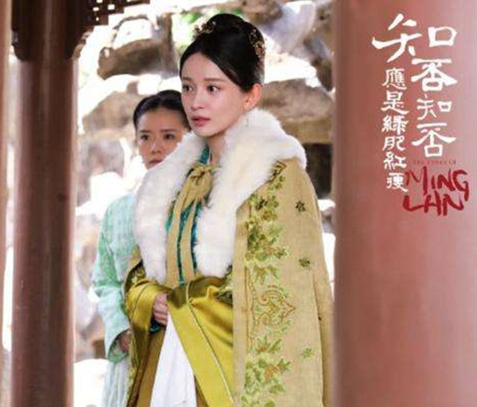 扔泥巴之高手过招，盛老太太假作不知明兰泪流成河王若弗喜形于色