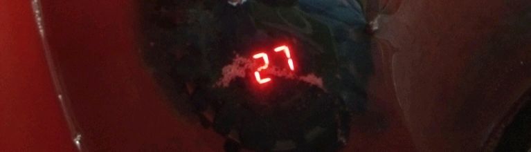 养的龟突然死了寓意什么,养龟老莫名其妙失踪