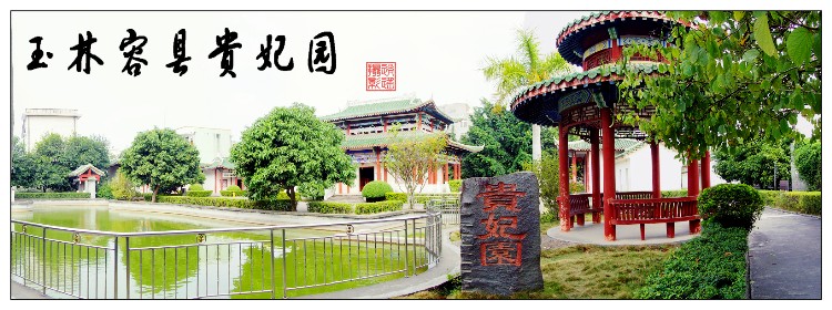 杨贵妃到底是从哪里弄来的荔枝呢,杨贵妃是哪里人为什么爱吃荔枝