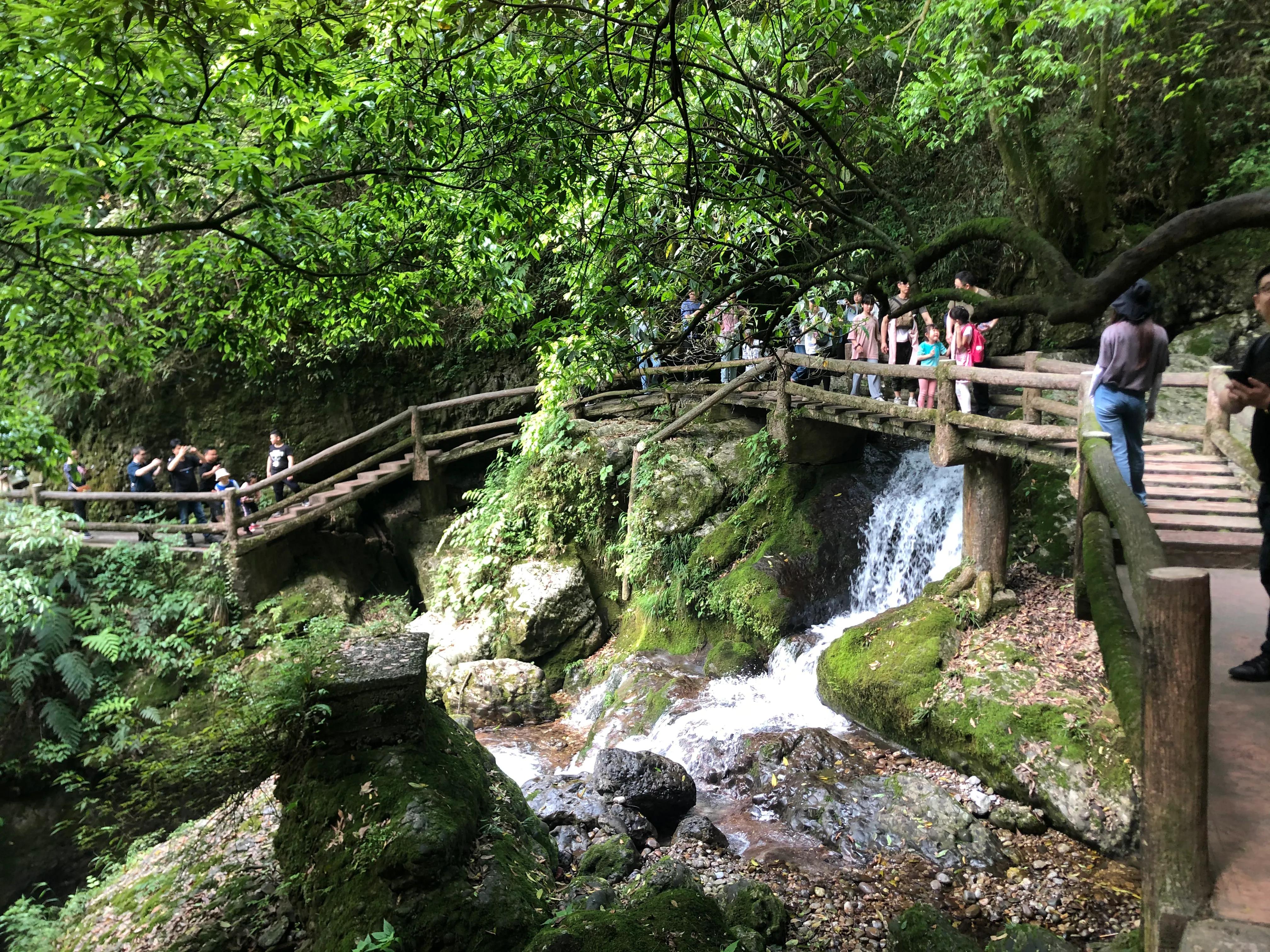 青城山后山一日游耍水攻略,青城山后山最值得去的地方