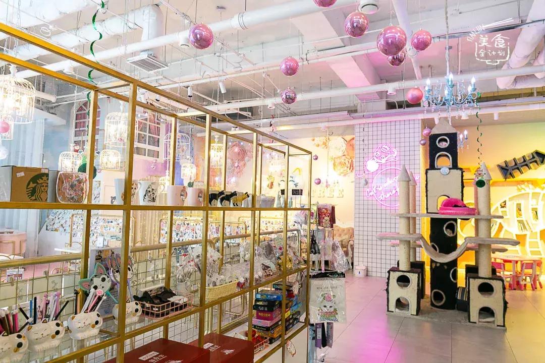 吃饭玩耍一体店,吃饭撸猫二选一