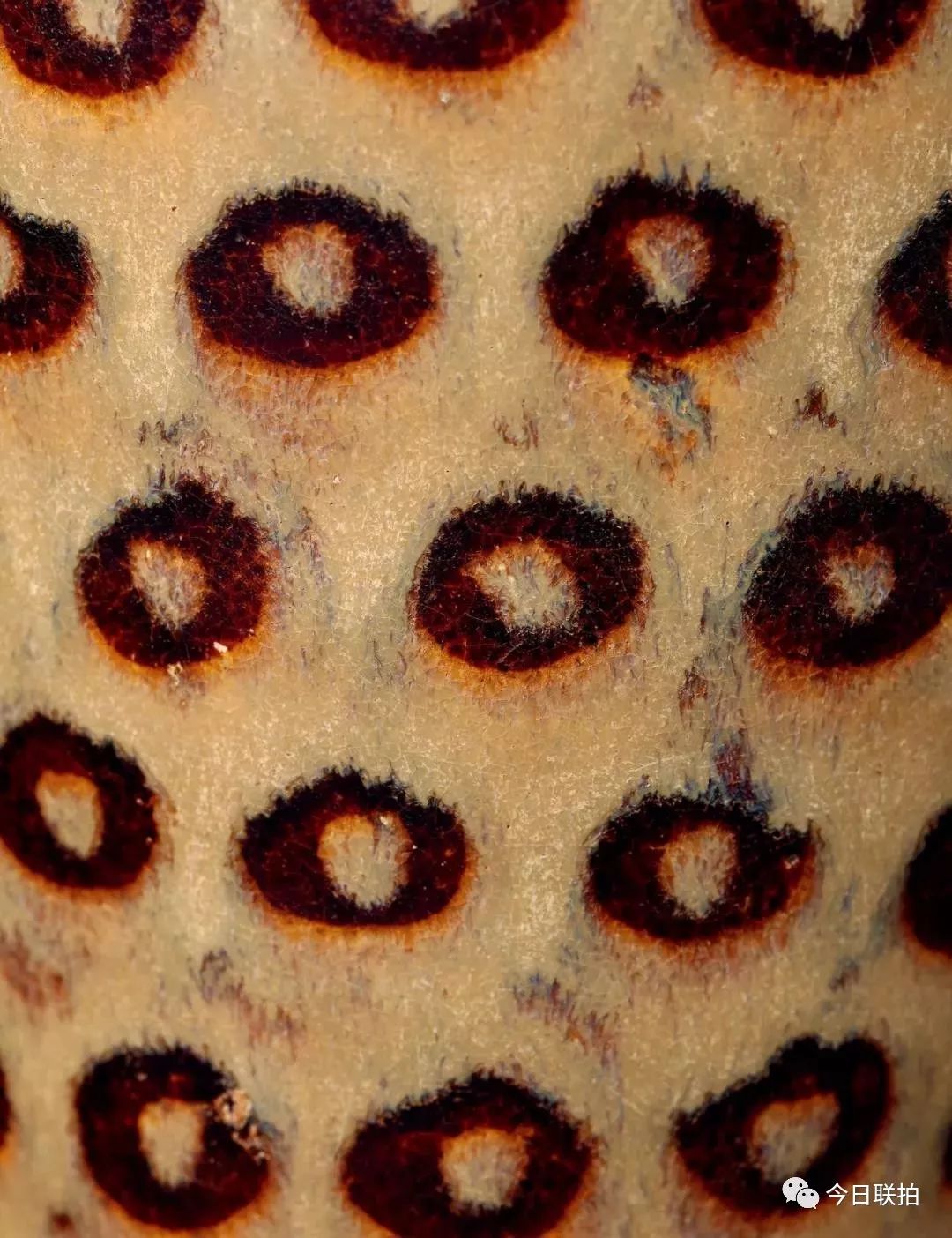 关公铜雕像价格1米5左右,纯铜38公分高关公铜像