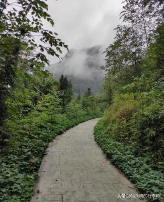 成都周边溶洞旅游景点,成都小众森林瀑布