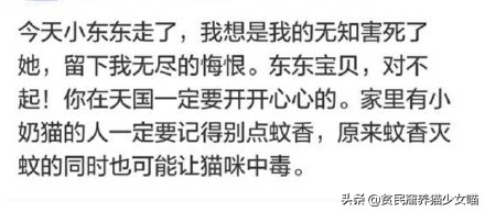 猫咪可以用什么驱蚊产品,夏天猫咪蚊香