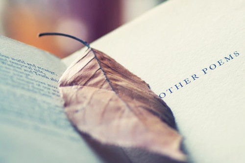 张雨生口是心非表达什么,张雨生口是心非是自己写的吗