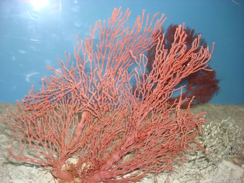 西安带孩子们最值得去的海洋公园,遛娃海洋馆打卡视频