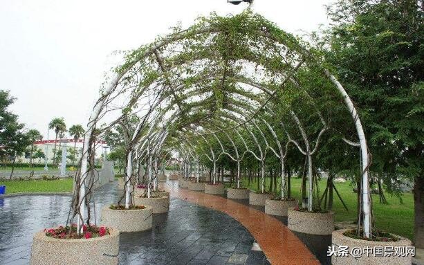 园林景观设计容易出现的问题,花架设计注意事项及建议