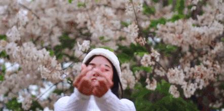 你不知道的手机拍照功能,春天的视频拍摄教程不拍花