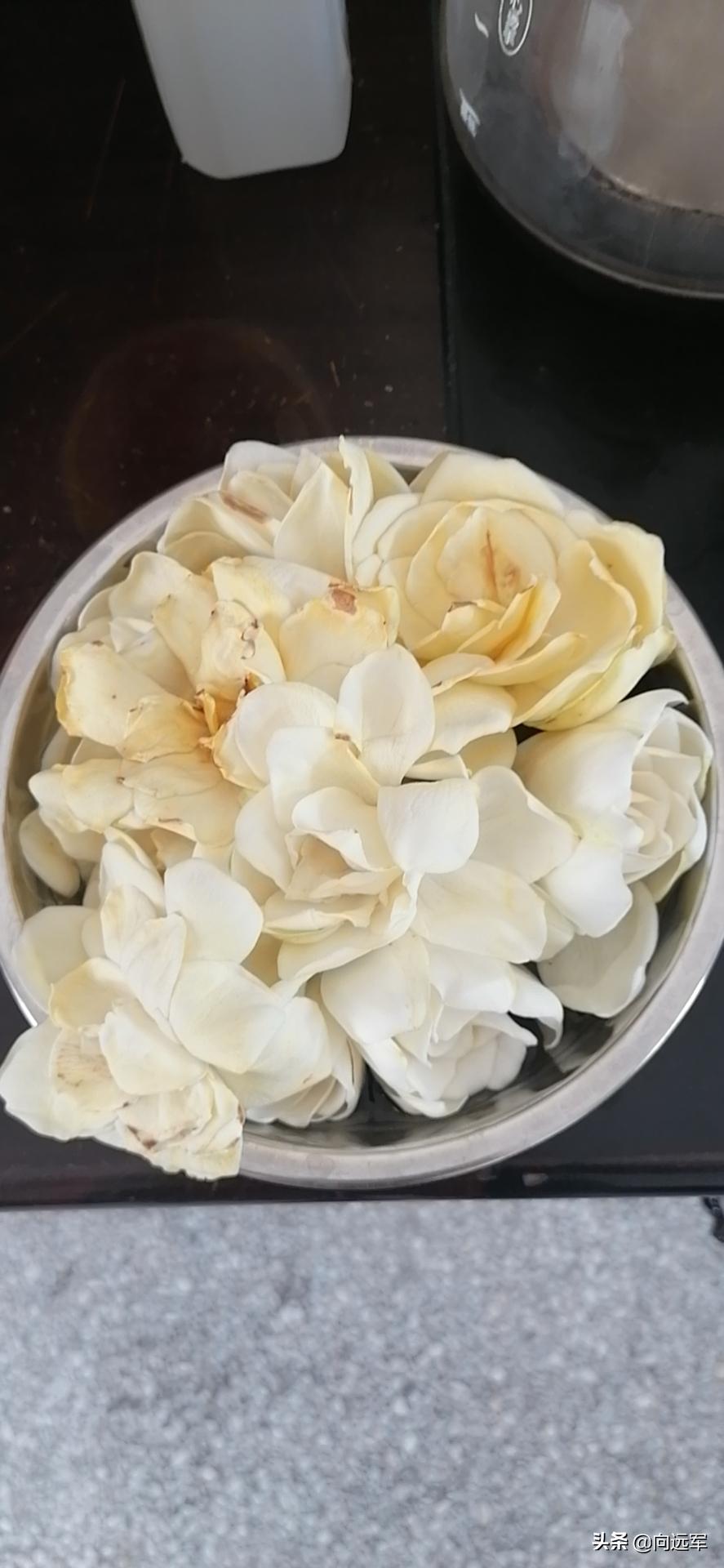 栀子花开花香满屋,六月栀子香