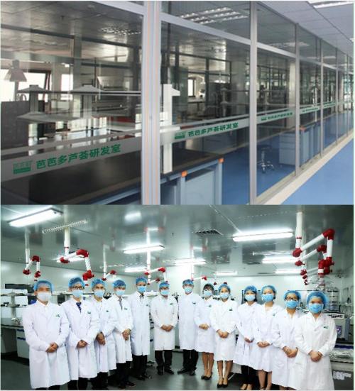 科研突破硕果累累,科研创新呈现新气象