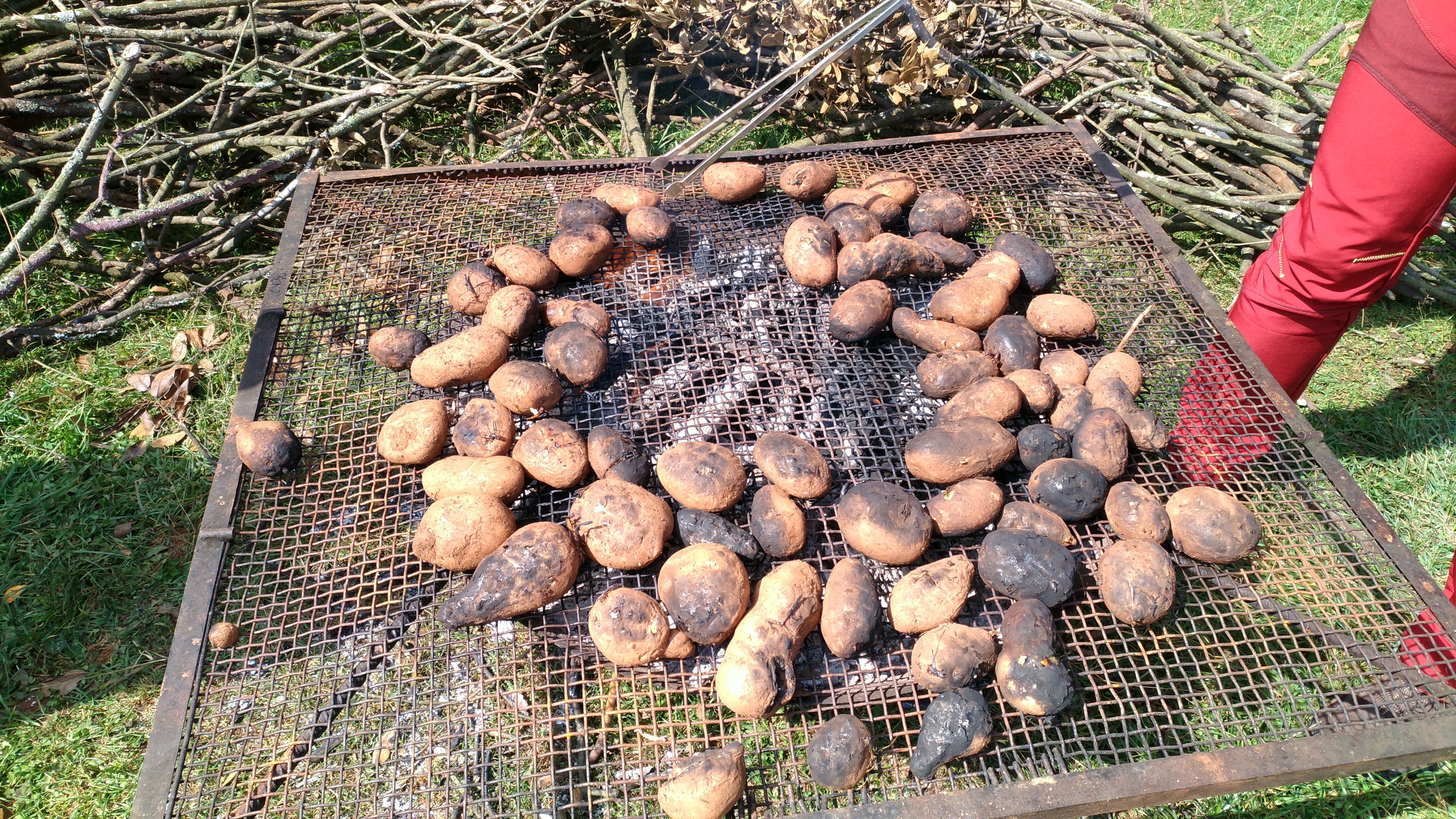 昆明团山湿地露营,昆明寻甸草原露营多少钱